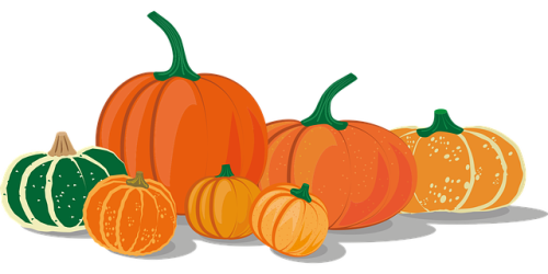 pumpkins-g75469dfc9_640.png