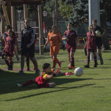 girlscup-peuerbach_09-09-2023-019