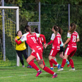 niederthalheim-steyr_3-2_08-10-2023-016