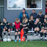 girlscup_ebelsberg_15-10-2023-31