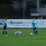 nebelberg-ried_0-2_04-11-2023-066