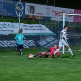 nebelberg-ried_0-2_04-11-2023-073