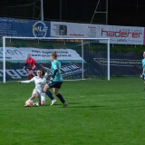 nebelberg-ried_0-2_04-11-2023-082