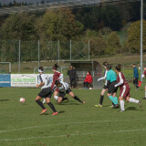 aspach-aschach_2-5_11-11-2023-10