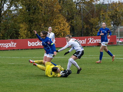 lask lustenau 4 1 19 11 2023 086