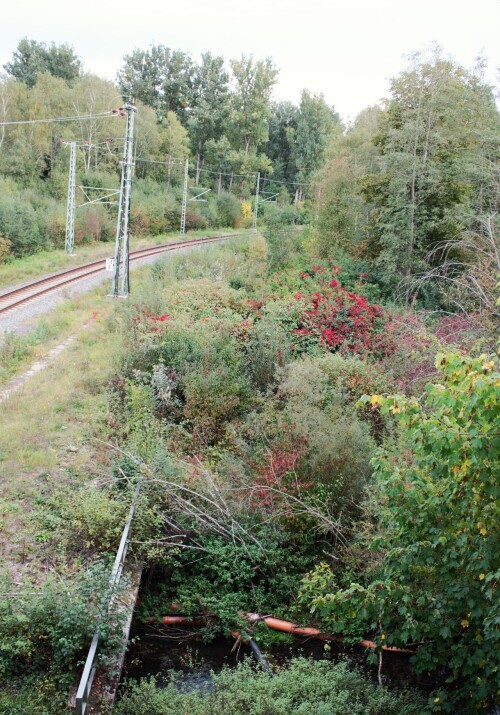 20231005 Donaueschingen Bahnhof (3d)