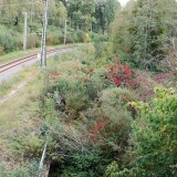 20231005-Donaueschingen-Bahnhof-3d