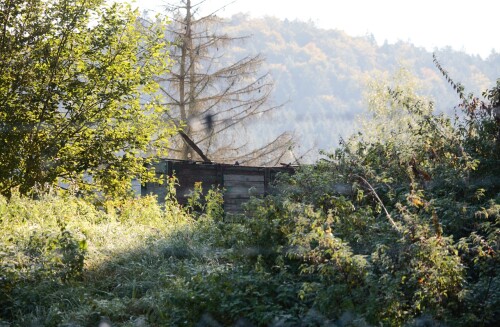 20231007 Tuttlingen Dampflok Lokschuppen (3)