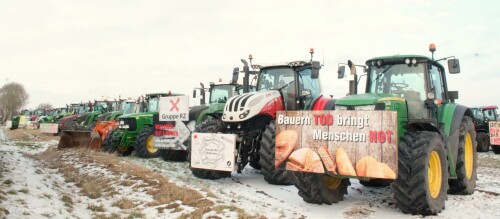 Bauernprotest-2024-Trecker-Traktor-20240117-RZ-Herzogtum-Lauenburg-5.jpg