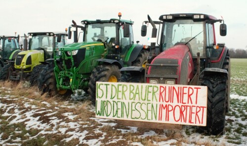 Bauernprotest-2024-Trecker-Traktor-20240117-RZ-Herzogtum-Lauenburg-6.jpg