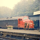 Flensburg-1981-NOHAB-1101-DSB-1