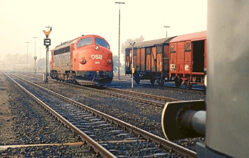 Flensburg 1981 NOHAB 1101 DSB (2)