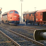 Flensburg-1981-NOHAB-1101-DSB-2