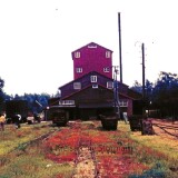 l-Gnarrenburg-1975-Torfmoorbahn-Feldbahn-Schmalspur-600mm-9