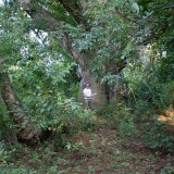 20240220-Sansibar-18h-zum-Strand-1