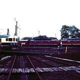 1984-Uelzen-Bahnhof-BR-220-V-200-Doppeltraktion-Sonderzug-historischer-Zug-4