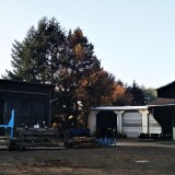 20201107-Bleckede-Bahnhof-12