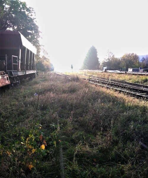 20201107 Bleckede Bahnhof (6)