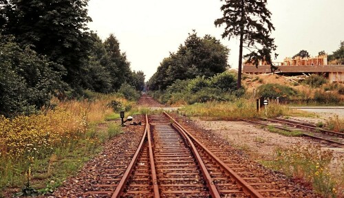 Dwerkathen Bahnhof Haltestelle 1977 Schienerückbau Stilllegung Bahnstrecke Schwarzenbek Bad Oldesloe