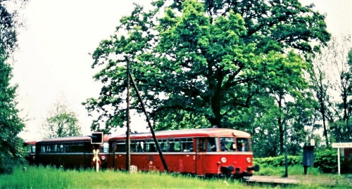 Trittau_Vorburg_Bahnhof_1976_Haltestelle-3.jpg