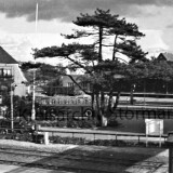 bad_oldesloe_bahnhof_1954_Mercedes_Benz_Vorkriegsnodell