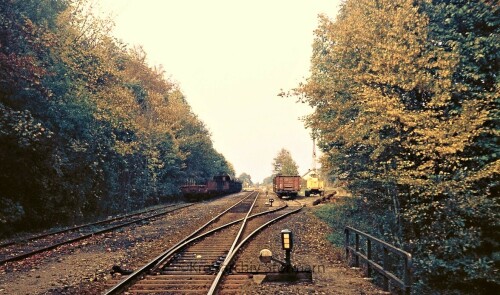 rolfshagen_bahnhof_1976_Rubenzug_Rubenernte_DB_Deutsche_Numdesbahn_BR260_purpur_rot-1.jpg