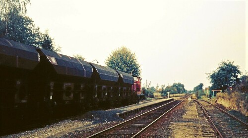 rolfshagen_bahnhof_1976_Rubenzug_Rubenernte_DB_Deutsche_Numdesbahn_BR260_purpur_rot-2.jpg