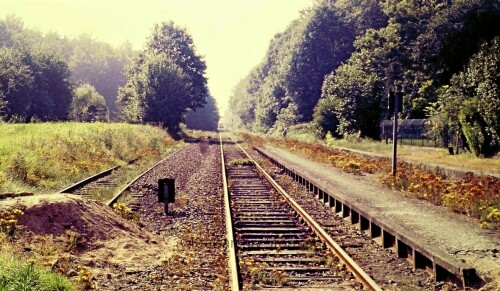 rolfshagen_bahnhof_1984_Stilllegung-2.jpg