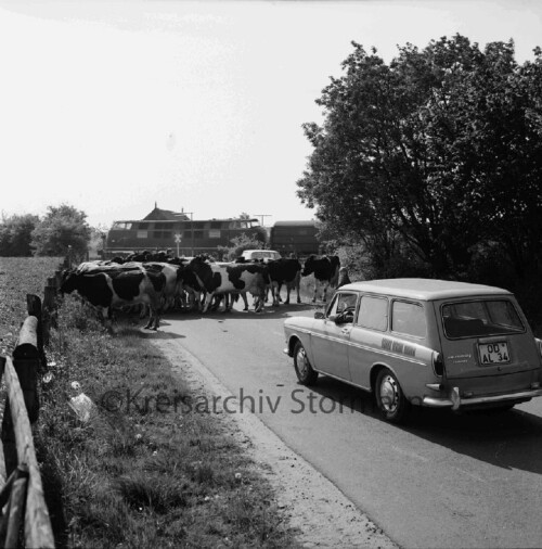 rumpel_Ruempel_bahnhof_1970_Bahnubergang_Schranke_Kuhe-VW_412_Variant_TL.jpg