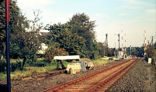 1972_bad_oldesloe_bahnhof_Nebenstrecke_nach_Schwarzenbek_Ziegen_auf_Dem_Gleis-2.jpg