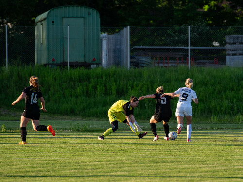 ottensheim-niederthalheim_8-0_10-05-2024-011.jpg