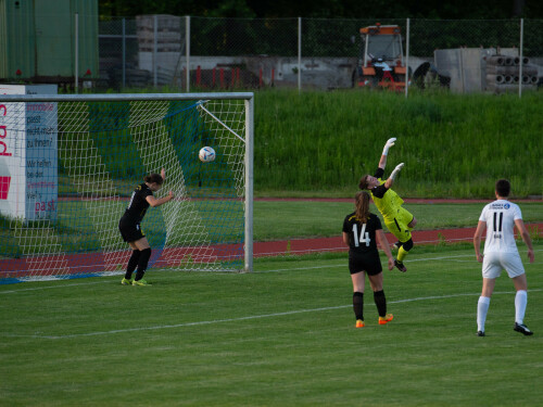 ottensheim-niederthalheim_8-0_10-05-2024-048.jpg