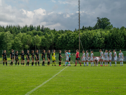 niederthalheim-nebelberg_2-3_25-05-2024-001.jpg