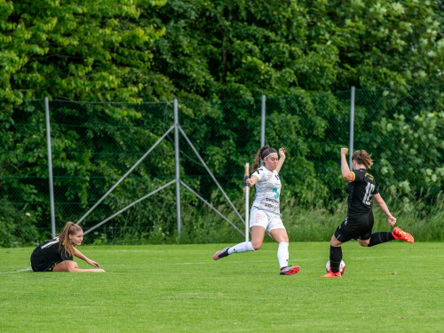 niederthalheim-nebelberg_2-3_25-05-2024-025.jpg