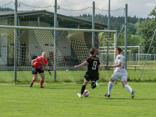 niederthalheim-nebelberg_2-3_25-05-2024-036.jpg