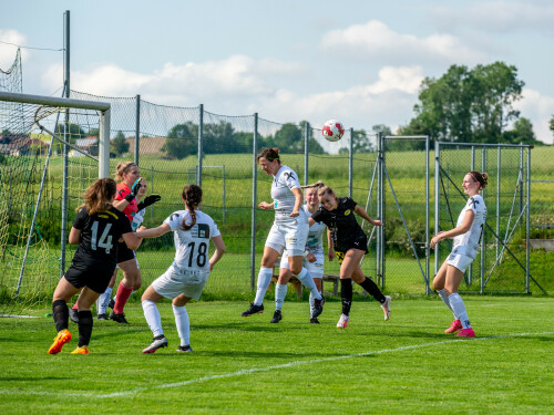 niederthalheim-nebelberg_2-3_25-05-2024-045.jpg