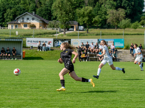 niederthalheim-nebelberg_2-3_25-05-2024-056.jpg