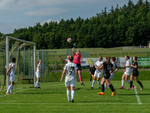 niederthalheim nebelberg 2 3 25 05 2024 061