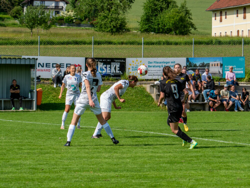 niederthalheim-nebelberg_2-3_25-05-2024-063.jpg