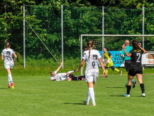 niederthalheim-nebelberg_2-3_25-05-2024-084.jpg