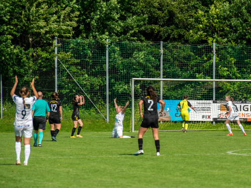 niederthalheim-nebelberg_2-3_25-05-2024-086.jpg