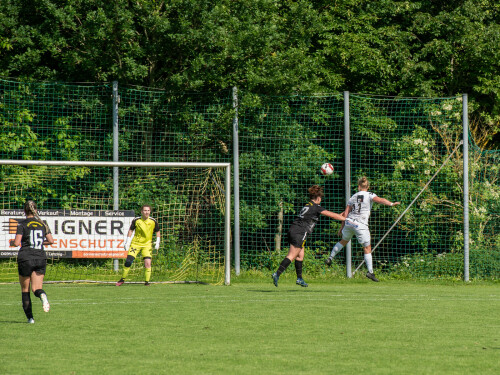 niederthalheim nebelberg 2 3 25 05 2024 103