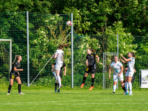 niederthalheim-nebelberg_2-3_25-05-2024-107.jpg