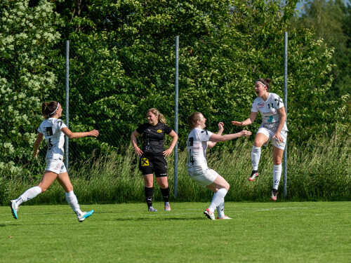 niederthalheim-nebelberg_2-3_25-05-2024-110.jpg