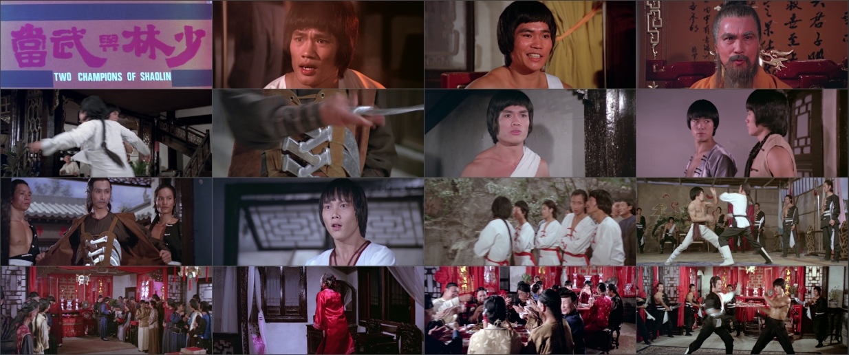 Das-Grabmal-des-Shaolin-.mkv.jpg