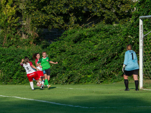 lsc_linz-aspach_3-2_24-08-2024-06.jpg