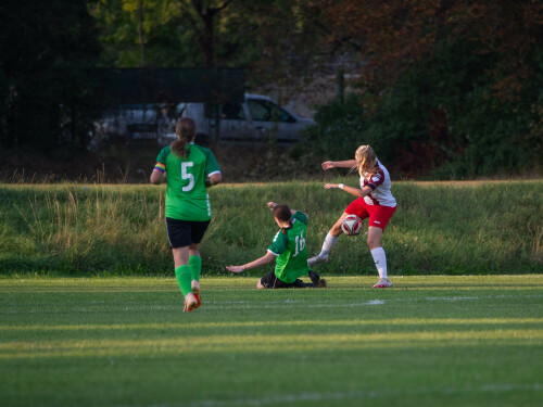 lsc_linz-aspach_3-2_24-08-2024-19.jpg