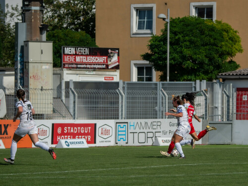 steyr-nebelberg_3-0_31-08-2024-28.jpg