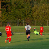 vorchdorf-niederthalheim_0-3_06-09-2024-33