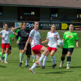 gc_frankenburg_08-09-2024-060